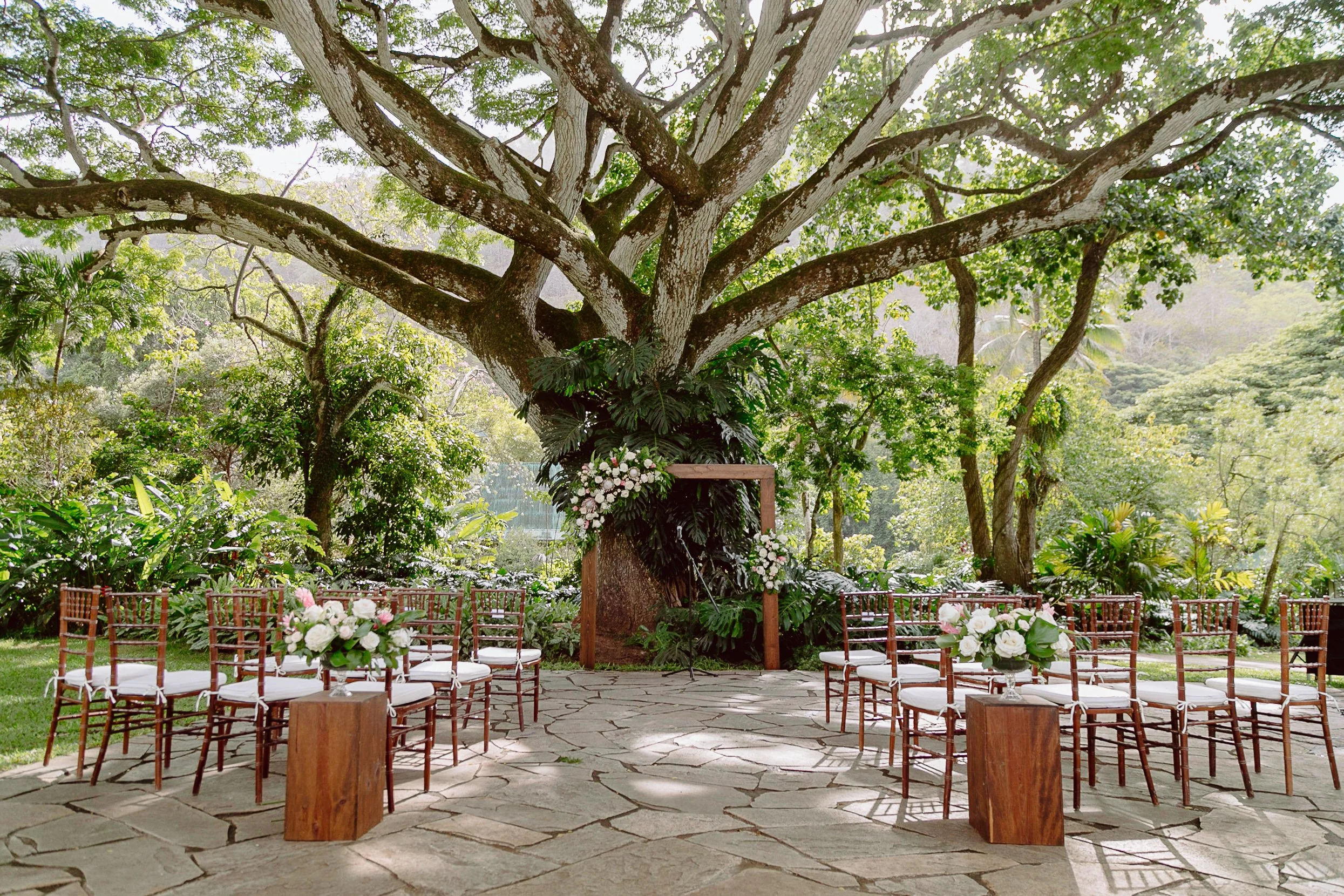 ウイングモア　WM624ZA Main Lawn | Plan Your Perfect Wedding Today - Waimea Valley